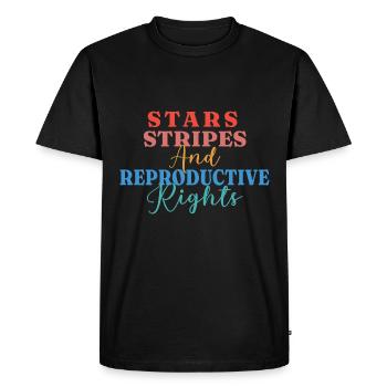 Star stripes and reproduction rights - Men's Premium Organic T-Shirt - black - Front - Nico (187cm)