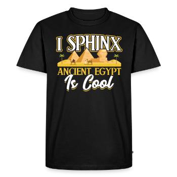 I Sphinx Ancient Egypt Is Cool - Egyptologist - Men's Premium Organic T-Shirt - black - Front - Nico (187cm)