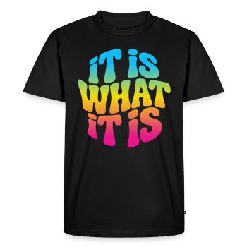 It is what it is - Men's Premium Organic T-Shirt - black - Front - Nico (187cm)