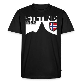 Stetind Norge Norvégiens montagne kletterer - T-shirt Premium bio Homme - noir - Devant - Nico (187cm)