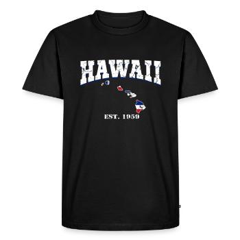Hawaï - T-shirt Premium bio Homme - noir - Devant - Nico (187cm)