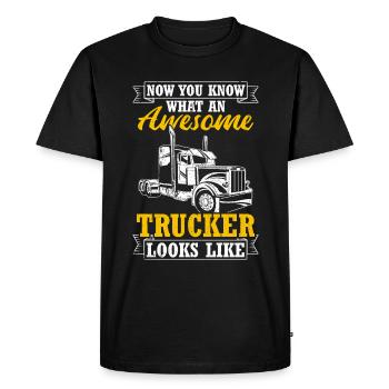 Camion Diesel Autoroute Meilleur Travail Argent Camion Chauffeur Truc - T-shirt Premium bio Homme - noir - Devant - Nico (187cm)