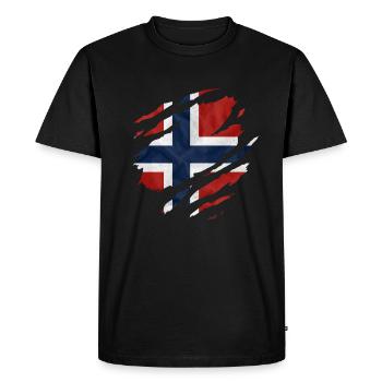 NORVÈGE DRAPEAU NORVÉGIEN SCANDINAVIE NOREG - T-shirt Premium bio Homme - noir - Devant - Nico (187cm)