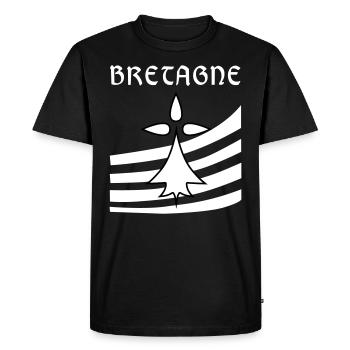 Bretagne blason - T-shirt Premium bio Homme - noir - Devant - Nico (187cm)