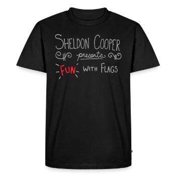 The Big Bang Theory S'amuser avec Drapeaux - T-shirt Premium bio Homme - noir - Devant - Nico (187cm)
