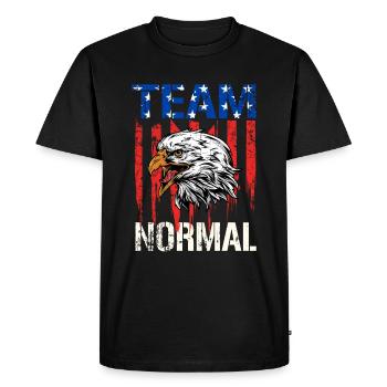 Team Normal Bold Eagle US Flag Distressed - Men's Premium Organic T-Shirt - black - Front - Nico (187cm)