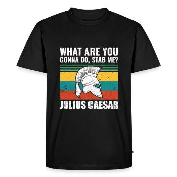 What are you going to do, stab me? -Roman Empire - Men's Premium Organic T-Shirt - black - Front - Nico (187cm)