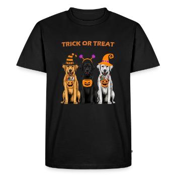 DES BONBONS OU DES BÂTONS - T-shirt Premium bio Homme - noir - Devant - Nico (187cm)