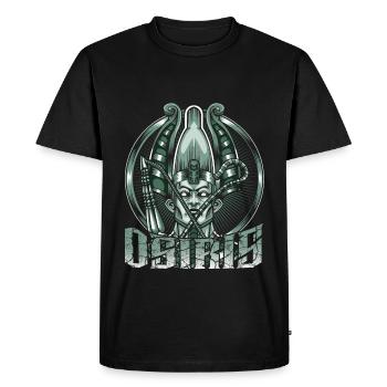 Dieu de la divinité égyptienne égyptienne du Nord Osiris - T-shirt Premium bio Homme - noir - Devant - Nico (187cm)