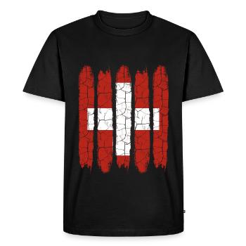 Switzerland - Men's Premium Organic T-Shirt - black - Front - Nico (187cm)