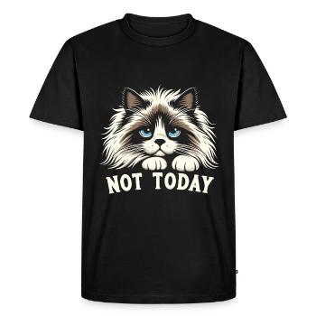 Not Today Ragdoll Cat Lover Ragdolls - Men's Premium Organic T-Shirt - black - Front - Nico (187cm)