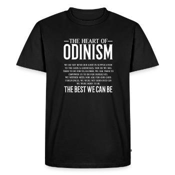 Viking Viking Vikings Odin Walhalla Cadeau - T-shirt Premium bio Homme - noir - Devant - Nico (187cm)