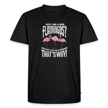 Flamingo Pink Bird Zoo Summer Holiday Gift - Men's Premium Organic T-Shirt - black - Front - Nico (187cm)