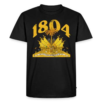 Haïti - T-shirt Premium bio Homme - noir - Devant - Nico (187cm)