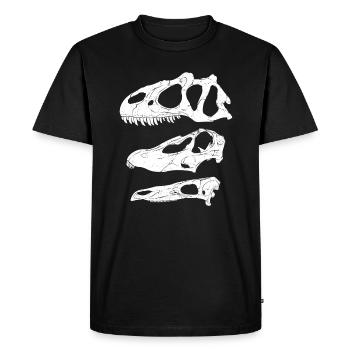 Allosaurus Diplodocus Stegosaurus - T-shirt Premium bio Homme - noir - Devant - Nico (187cm)