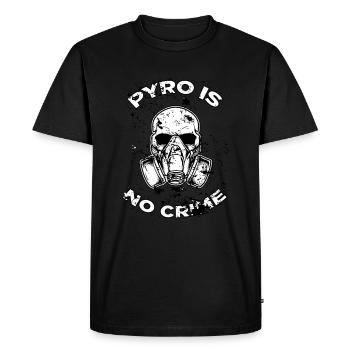 Pyrotechnie, Nouvel An, Nouvel An, pas de crime, pyro - T-shirt Premium bio Homme - noir - Devant - Nico (187cm)