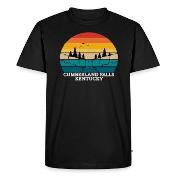 Cumberland Falls Kentucky - T-shirt Premium bio Homme - noir - Devant - Nico (187cm)