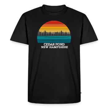 Cedar Pond New Hampshire - Men's Premium Organic T-Shirt - black - Front - Nico (187cm)