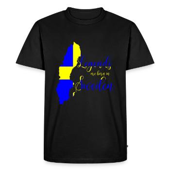 Héros de la Suède - T-shirt Premium bio Homme - noir - Devant - Nico (187cm)