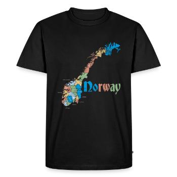 Norvège Scandinavie - T-shirt Premium bio Homme - noir - Devant - Nico (187cm)