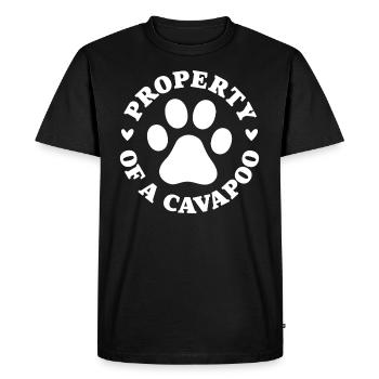 Property of a Cavapoo - Men's Premium Organic T-Shirt - black - Front - Nico (187cm)