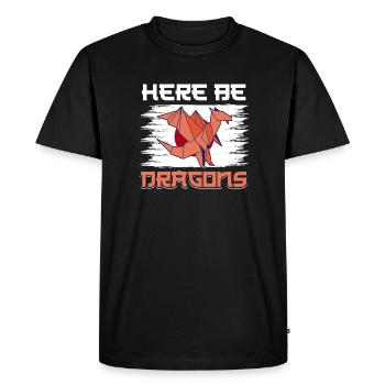Dragon son origami de pli de papier - T-shirt Premium bio Homme - noir - Devant - Nico (187cm)