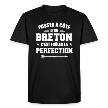 Breton Perfection - Cadeau Humour Breton - T-shirt Premium bio Homme - noir - Devant - Nico (187cm)