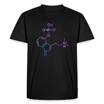 Molécule de chimie de Shrooms magiques de psilocybine - T-shirt Premium bio Homme - noir - Devant - Nico (187cm)