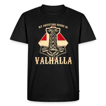 Mes ancêtres résident au Valhalla - Danemark - T-shirt Premium bio Homme - noir - Devant - Nico (187cm)