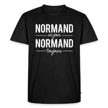 Normand un jour normand toujours normandie humour - T-shirt Premium bio Homme - noir - Devant - Nico (187cm)