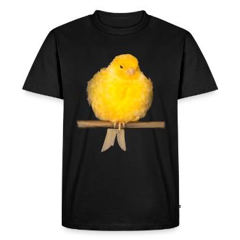 mignon canari avec des plumes jaunes - T-shirt Premium bio Homme - noir - Devant - Nico (187cm)