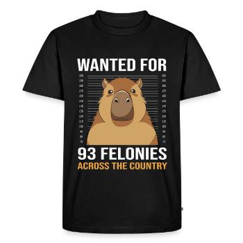 Capybara Capibara - T-shirt Premium bio Homme - noir - Devant - Nico (187cm)