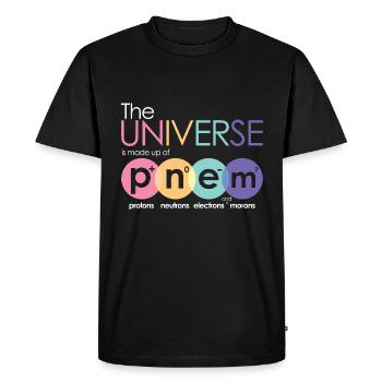 Physics Moron - Men's Premium Organic T-Shirt - black - Front - Nico (187cm)