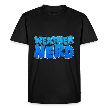 Weather Nerd - Men's Premium Organic T-Shirt - black - Front - Nico (187cm)