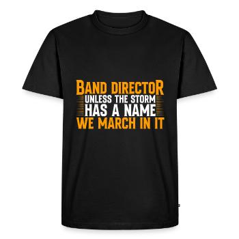 Directeur de groupe, sauf si The Storm a un nom 2 - T-shirt Premium bio Homme - noir - Devant - Nico (187cm)