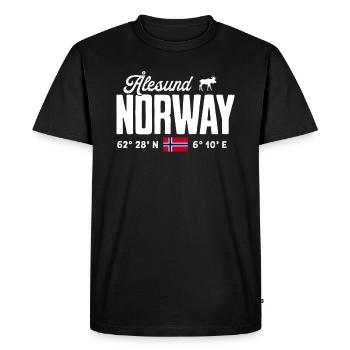 Norvège Norvège Norvège Scandinavie Ålesund - T-shirt Premium bio Homme - noir - Devant - Nico (187cm)