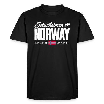 Norvège Norvège Norvège Scandinavie Jotunheimen - T-shirt Premium bio Homme - noir - Devant - Nico (187cm)