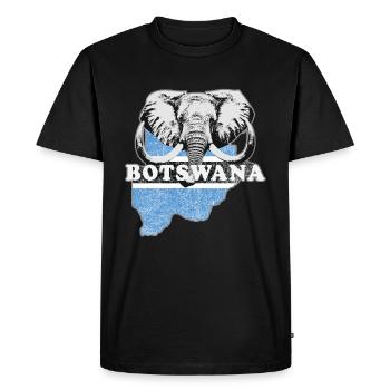 Drapeau du Botswana Afrique Drapeau - T-shirt Premium bio Homme - noir - Devant - Nico (187cm)