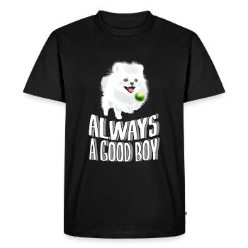 Pomeran toujours un bon garçon - T-shirt Premium bio Homme - noir - Devant - Nico (187cm)