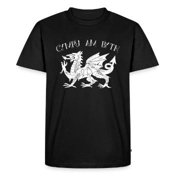 wales - Männer Premium Bio T-Shirt - Schwarz - Vorne - Nico (187cm)