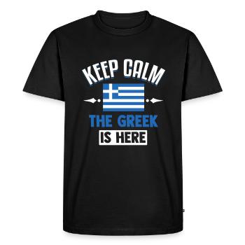 Grèce Drapeau grec Cadeau Drôle - T-shirt Premium bio Homme - noir - Devant - Nico (187cm)