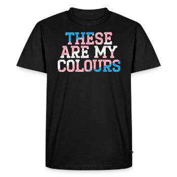 Ce sont mes couleurs LGBTQ Transgender Rights - T-shirt Premium bio Homme - noir - Devant - Nico (187cm)