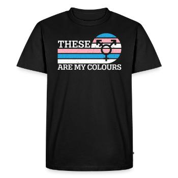 Ce sont mes couleurs LGBTQ Transgender Rights - T-shirt Premium bio Homme - noir - Devant - Nico (187cm)
