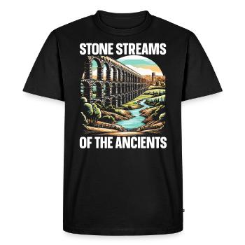 Aqueducs romains Ingénierie romaine Rome antique - T-shirt Premium bio Homme - noir - Devant - Nico (187cm)