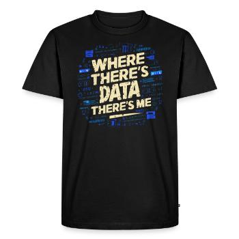 Backend Developer Programming Software Programmer - Men's Premium Organic T-Shirt - black - Front - Nico (187cm)