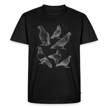 Pigeons espèce Pigeon - T-shirt Premium bio Homme - noir - Devant - Nico (187cm)