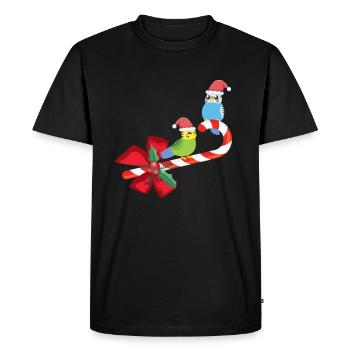 Oiseau de Noël perruche mignon - T-shirt Premium bio Homme - noir - Devant - Nico (187cm)