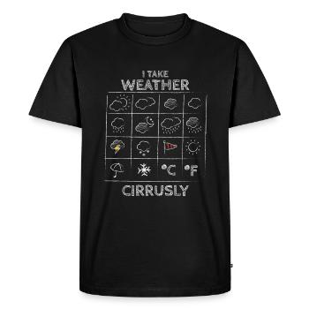 I Take Weather Meteorologist Weather Sky - Men's Premium Organic T-Shirt - black - Front - Nico (187cm)