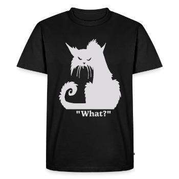 Quelle chemise drôle de chat - T-shirt Premium bio Homme - noir - Devant - Nico (187cm)