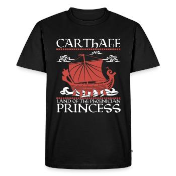 Carthage, terre de la princesse phénicienne - T-shirt Premium bio Homme - noir - Devant - Nico (187cm)
